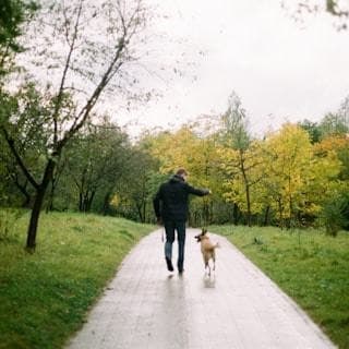Gåtur med hund i parken